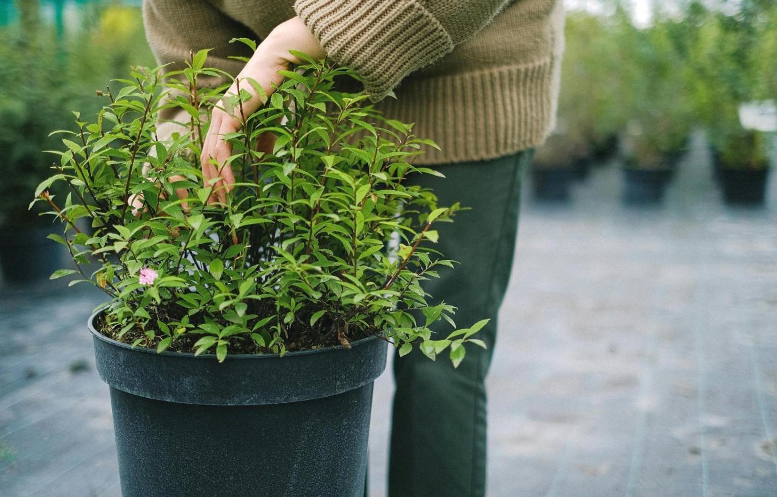 Polandro Bospheris çiçek düzenleme masterclass uygulamalı eğitim atölyesi