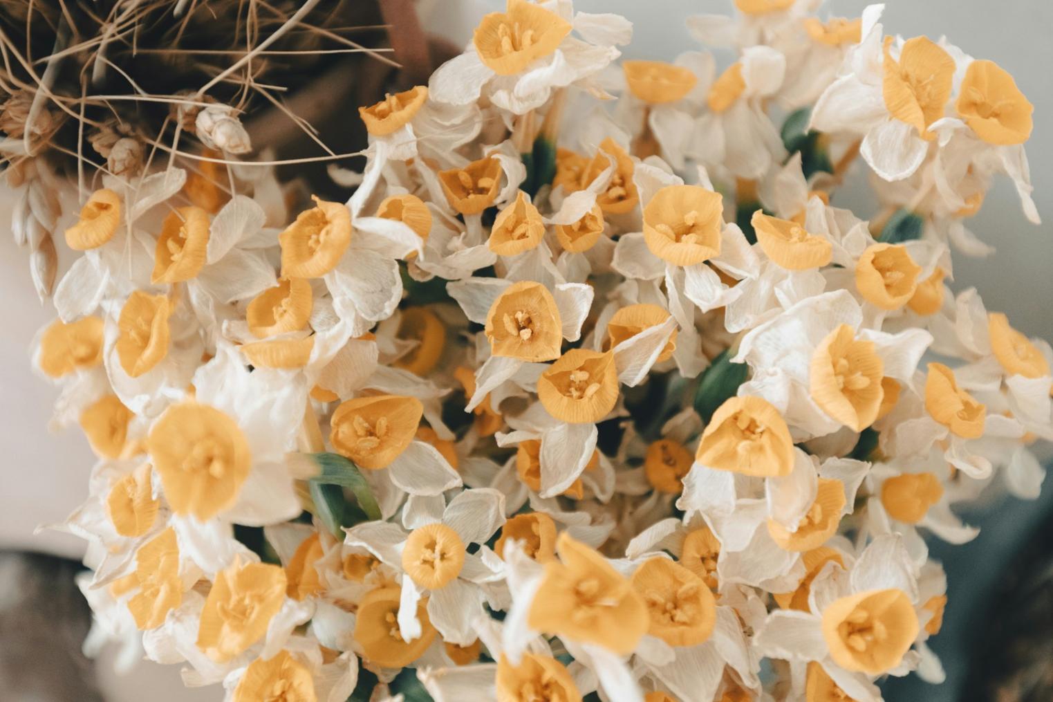Çeşitli çiçek düzenleme teknikleri ve araçları